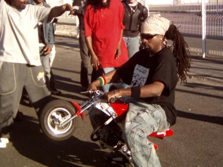 flexxux ninox an mét !!!